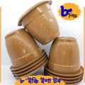 8" Esha Flowers Tob 8 Pis + Gift (Brown Color).