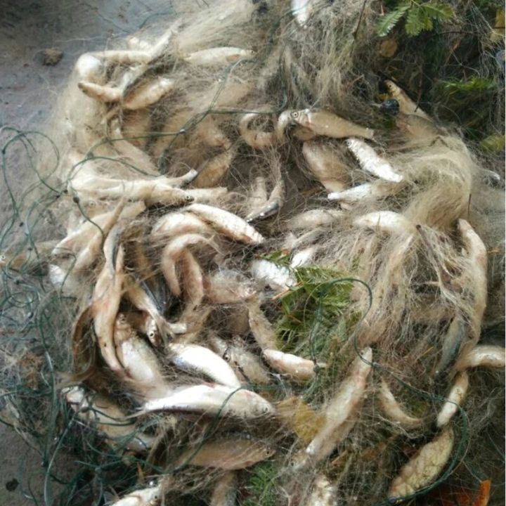 Durable%20Fishing%20Net%20Monofilament%20Floating%20Trap%20Saltwater%20Fish%20Net%20for%20Rod%20Fishing%20Lovers%201Mx%2020M%20-%20Image%204