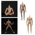 1/12 Male Action Figure 6inch Male Flexible Action Figure Body for Arts Boys. 