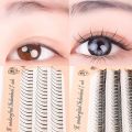 【The Edge of Beauty】DIY Eyelashes Extension Interperse Natural Vivid Individual Lashes A Shape Cluster Fishtail. 