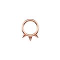 1PC Punk Spiked Septum Ring Nostril Piercing Surgical Steel Nose Clicker Segment Hinged Nose Rings Hoop 16G Cartilage Earring. 