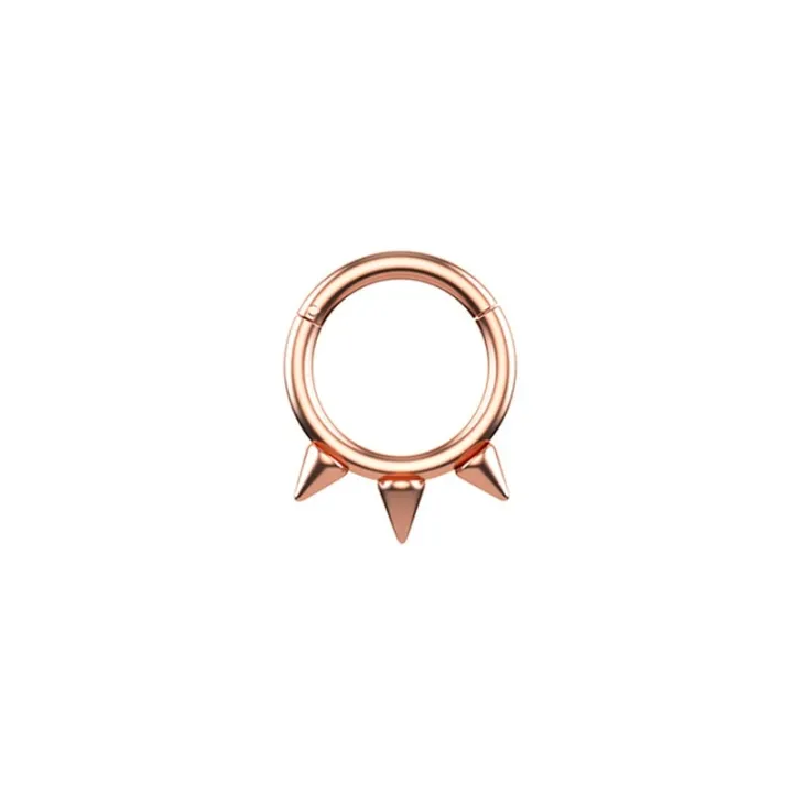 1PC%20Punk%20Spiked%20Septum%20Ring%20Nostril%20Piercing%20Surgical%20Steel%20Nose%20Clicker%20Segment%20Hinged%20Nose%20Rings%20Hoop%2016G%20Cartilage%20Earring%20-%20Image%207