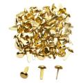 JAERBEE 1/2 Inch Brass Paper Fasteners, Mini Paper Fasteners for Handicraft Projects, Decorative DIY Supplies, 8 x 14 mm (Gold). 