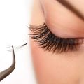 Premium Individual Dovetail Eyelash Extension Natural 3D Cluster Eyelashes Professional Makeup Flared Lashes. 