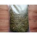 Pumpkin Seed (Kumrar Bich) - 100gm. 