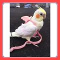 VibeVendor Bird leash, Pet Parrot Bird Harness and Leash Flying Rope Straps Outdoor Bird Flying Harness Training Traction Rope for Budgerigar Cockatiel Small Birds.