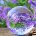 Transparent Clear Solid Glass Artificial Crystal Ball Sphere Decoration Toys. 