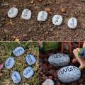 Potted Paving Stones Small Stones Potted Decor for Landscaping Garden Lawn. 