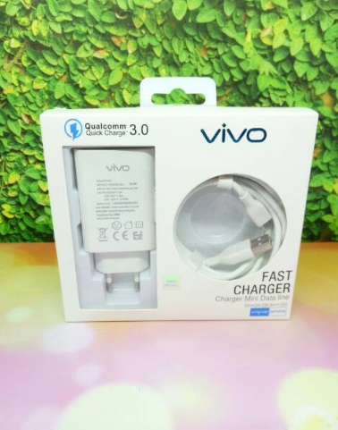 VIVO 18W Fast Charger EU US Power Adapter Type C Cable For VIVO Y17S Y21 Y33s V17 S1 Pro Y16 Y30 Y22 Y27 5G Y50 Y52 Y52S G2 Y53S