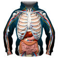 Men's Fashion Halloween Hoodie Horror Human Anatomy 3d Printed Sweater Hip Hop Funny Cosplay Hoodies.