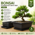 Bonsai flower pot 9 Inchi with Tray.