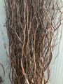[Dragon Willow Dried Branches] Curved Willow Branches Extra Long 1.5 Meters Natural Dried Bouquet Dried Branches for Home Decoration. 