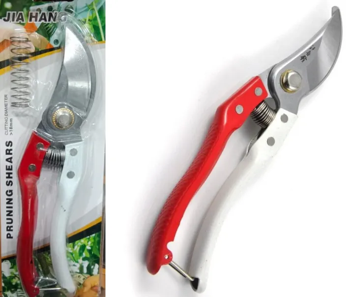 Garden%20Scissor,%20Pruning%20Scissor,%20Rust%20proof%20SS%20Material,%20%20Pruning%20Shears%20for%20Plants%20,%20Smooth%20Brunch%20Cutter%20for%20your%20Garden.%20-%20Image%203
