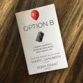 Option B: Facing Adversity, Building Resilience, and Finding Joy -Paperback. 