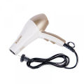 Kemei KM-810 Professional Hair Dryer.