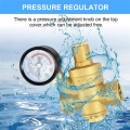 Water Pressure Reducing Valve 3/4In with Gauge, Adjustable Water Pressure Reducing Valve for Water Pressure Regulator DN20. 