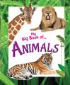 Eight Book Set for Kids (Dinosaur) (Big Book of Animals) (Big Book Series of Alphabet) (Bornomalar Poricoy) (Big Book of Numbers) (Vegetables) (Fruits). 