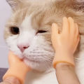 1set Fingertips for teasing cats, masturbating cats, plastic gloves, rubber massage for left and right small hands. 