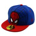 Disney Anime Cartoon Spiderman Kids Hats Toddler Baby Baseball Cap Autumn Spring Children's Snapback Hip Hop Caps For Boys Girls. 