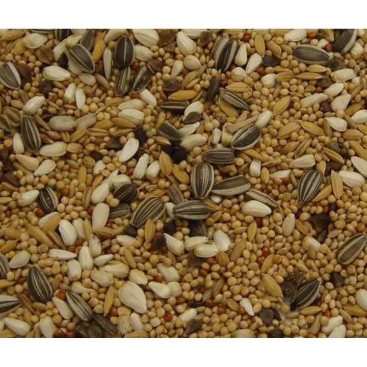 Budgerigar -Birds Food - (বাজরিগর পাখির খাবার) -1kg | Daraz.com.bd