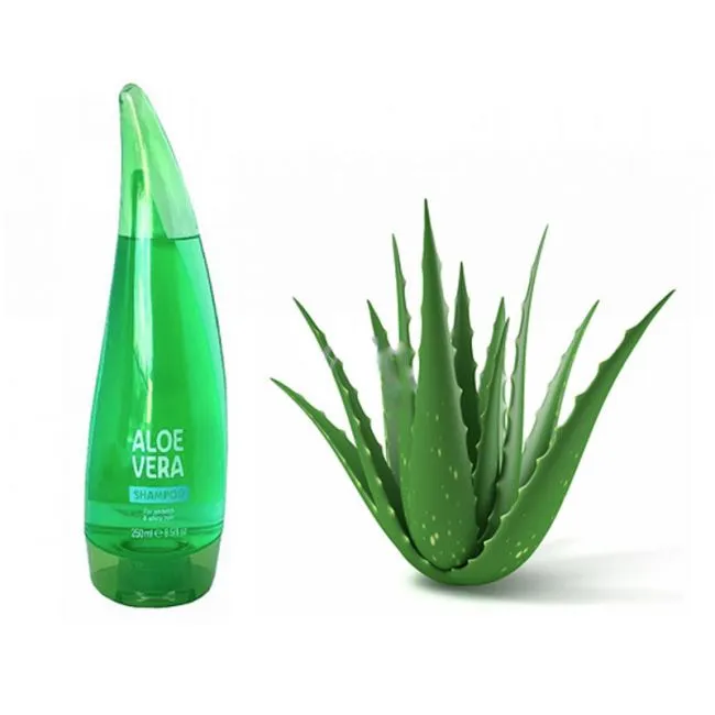 For%20UK%20developed%20international%20China%20product%20XHC%20Aloe%20Vera%20shampoo%20used%20for%20male/female%20-%C2%A0250%C2%A0ml%20-%20Image%202