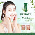 Breylee Acne Treatment Facial Cleanser 100 gm. 