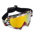 Ski Goggles Anti-Fog Adult Snowboard Skiing Glasses(null).