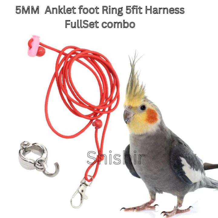 cockatil Bird harness & leg ring set
