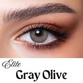 BELLA Gray Olive Elite Color Contact Lens with kit box. 