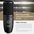 AKG P120 Large-diaphragm  Condenser Microphone. 