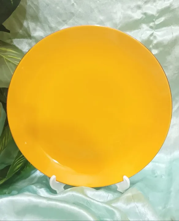 serving%20dish%20%2012'%C3%ADnch%20size%20colourul%20serving%20dish%20-%20Image%205