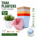 Thai Planters 2.5 inchi 10 pcs Mix Colour. 