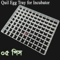 5 pcs 99 Quail Eggs Setter Trays for Birds and Quail Eggs Incubator Setting Tray. 
