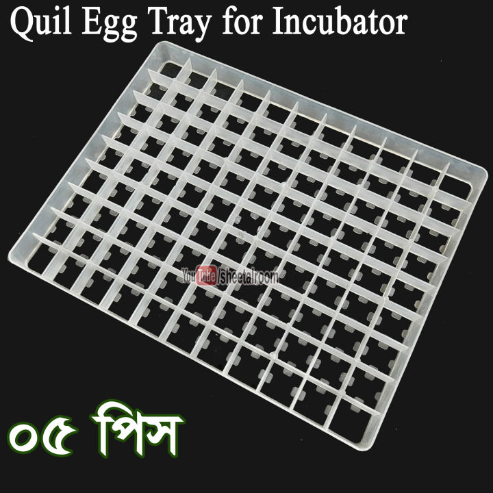 5 pcs 99 Quail Eggs Setter Trays for Birds and Quail Eggs Incubator Setting Tray