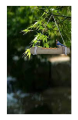 RARE OCEANS Bird Feeder Hanging Bamboo Bird Feeder for Birds.