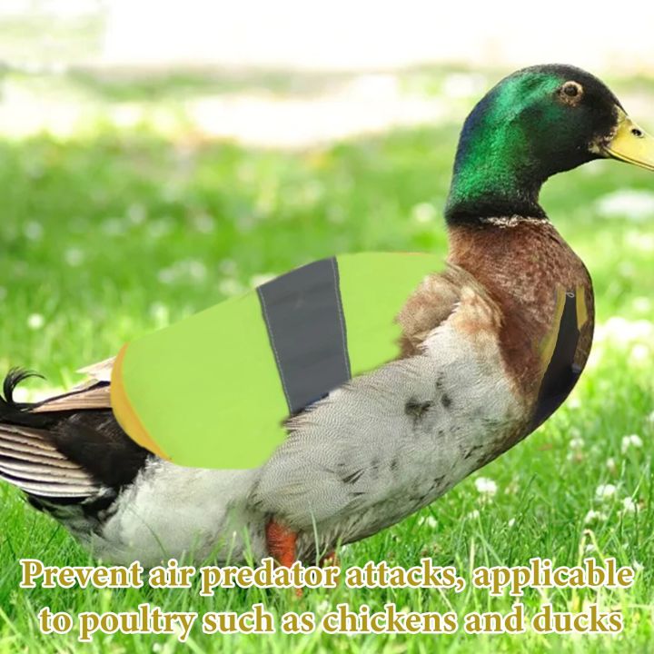 Chicken%20Vest%20Protection%20Adjustable%20Hen%20Saddle%20Apron%20Reflective%20Vest%20Chicken%20Clothes%20Hen%20Duck%20Chicken%20Saddle%20Apron%20Feather%20-%20Image%207