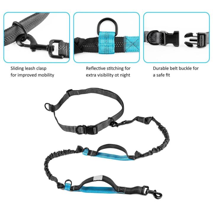 Cute%20#Lake%20Blue%20Direct%20pet%20supplies%20multi-function%20running%20reflective%20pull%20dog%20leash%20double%20elastic%20dog%20leash%20traction%20-%20Image%206