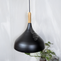 10 inch Pendant lamp shade | Colorful lamp shades | Aluminum body | Glossy color finish | 4 colors.