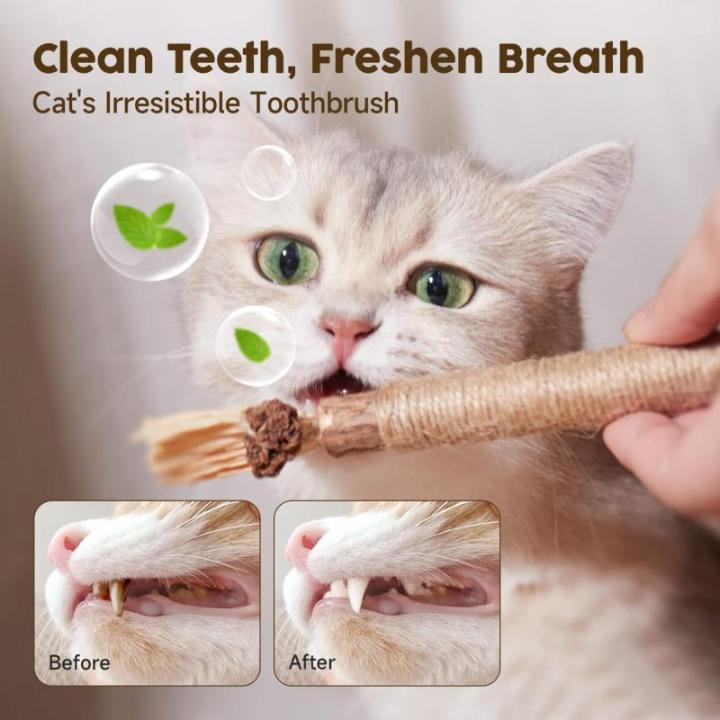 Natural%2022cm%20Wooden%20Polygonum%20Interactive%20Cat%20Bite%20Toys%20Cat%20Chew%20Toys%20For%20Kittens%20Teeth%20Cleaning%20Stain%20Removal%20-%20Image%207