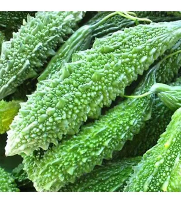 Long%20Green%20Bittermelon%20(korolla)%20Seeds%20-%205pcs%20-%20Green%20-%20Image%202