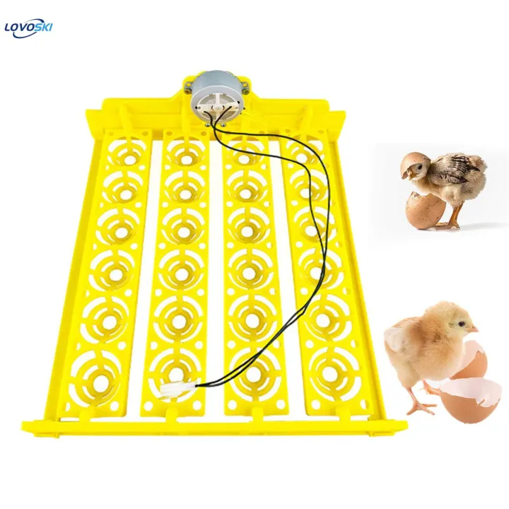 Automatic%20Egg%20Turner%20Tray%2024%20Eggs%20Egg%20Incubator%20Tray%20for%20Chicken%20Quail%20Goose%20DC%2012V%20-%20Image%202