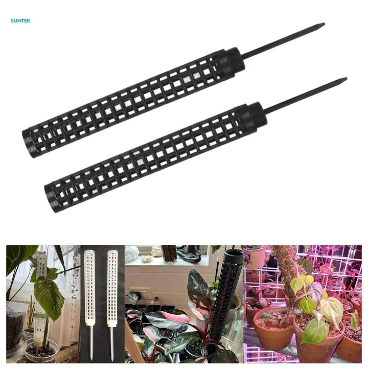 Plant%20Support%20Poles,%20Sticks%20Pole%20for%20Plants%20Fastening,%20Water%20Retaining%20Potted%20Aid%20Plants,%20Palm%20Houseplants%20Plant%20Display%20Rack%20Plant%20Stakes%20-%20Image%202