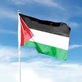Palestine National Flag 3ft x 2ft.