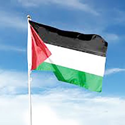 Palestine National Flag 3ft x 2ft