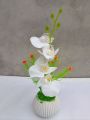 Orchid flower Artificial rubber tree plant for home decoration. flower, flowers, grass, hanging, wall, leaf, carpet, pot, cutter, light stand, indoor.