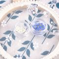 20 PCS DIY Dried Flowers Elegant Beautiful Artificial Forget-Me-Not Simple Creative Pressed Flower Decoration.