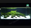 White Sand For Aquarium - 0.5/01/02 Kg pack You can Select Planted Aquarium White Sand - একুরিয়ামের জন্য সাদা বালি.