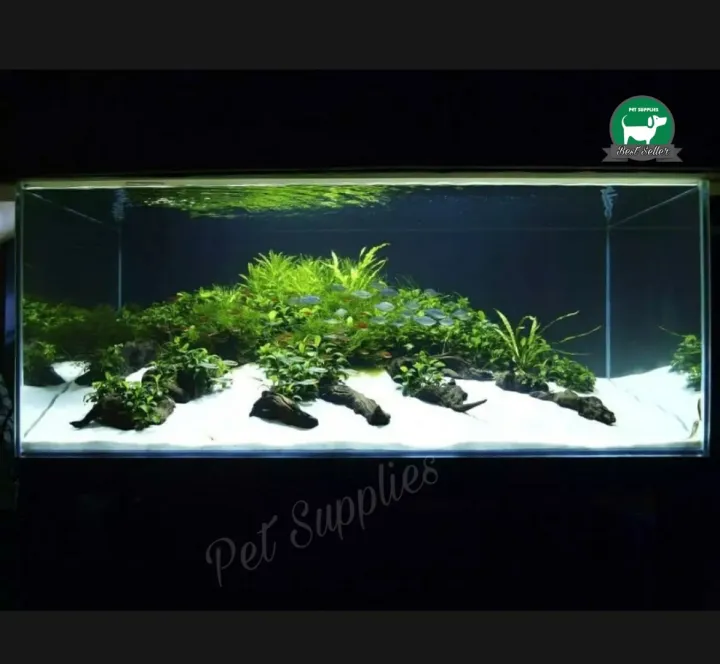 White%20Sand%20For%20Aquarium%20-%200.5/01/02%20Kg%20pack%20You%20can%20Select%20Planted%20Aquarium%20White%20Sand%20-%20%E0%A6%8F%E0%A6%95%E0%A7%81%E0%A6%B0%E0%A6%BF%E0%A7%9F%E0%A6%BE%E0%A6%AE%E0%A7%87%E0%A6%B0%20%E0%A6%9C%E0%A6%A8%E0%A7%8D%E0%A6%AF%20%E0%A6%B8%E0%A6%BE%E0%A6%A6%E0%A6%BE%20%E0%A6%AC%E0%A6%BE%E0%A6%B2%E0%A6%BF%20-%20Image%204
