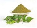 Curry Leaf Powder/ Kari Leaf Powder/ Kari Pata Gura (100gm).