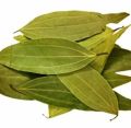 Bay Leaves Tejpata for Cooking 1 Kg. 